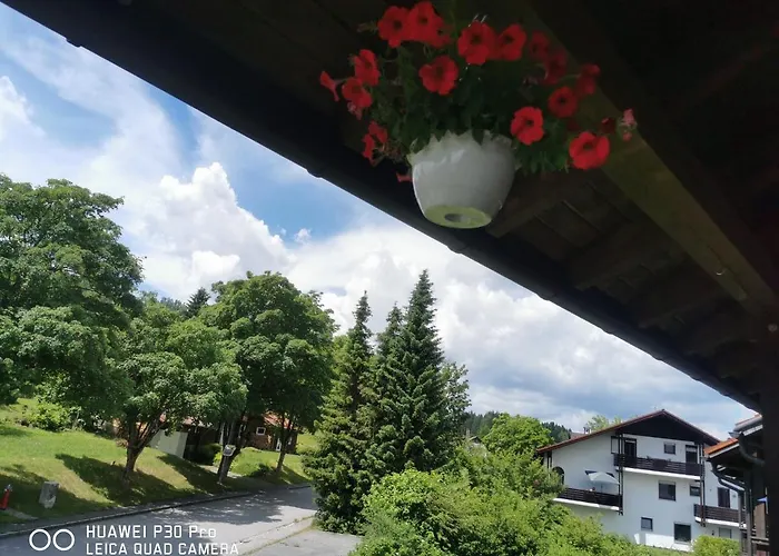 Chrysantihof - Bayerische Wald-weber 公寓