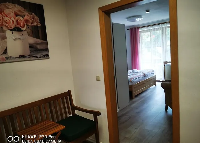 公寓 Chrysantihof - Bayerische Wald-weber 茨维泽尔