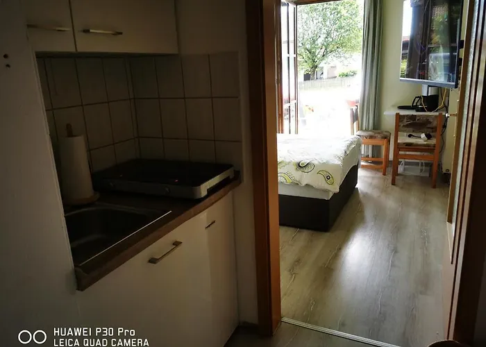 Chrysantihof - Bayerische Wald-weber 3* Zwiesel